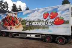 Joenrannan-mansikkapaikka-joki